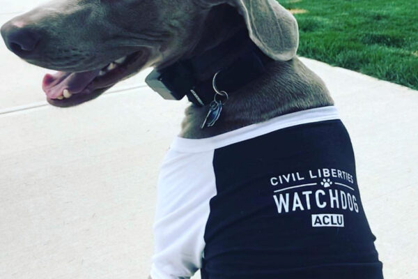 civil liberties watchdog