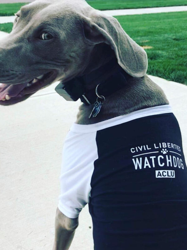 civil liberties watchdog
