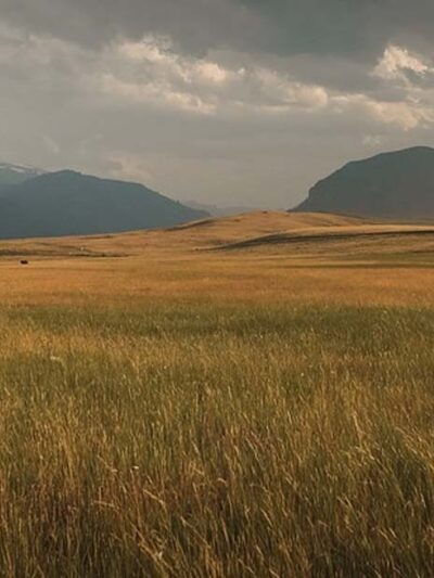 Hunting land