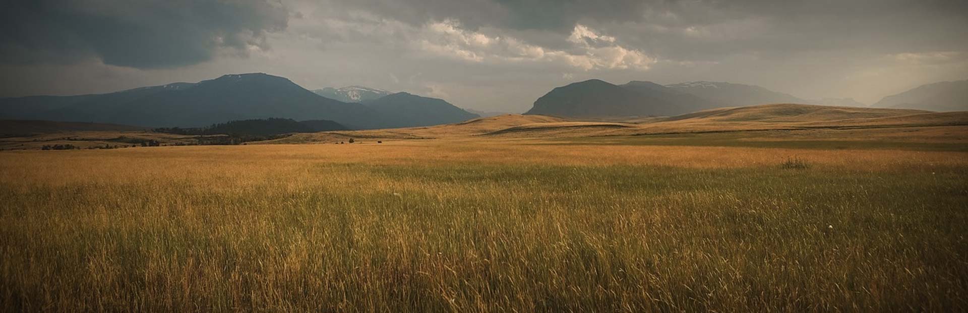 Hunting land