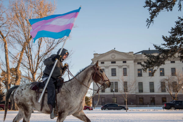 Image of a person riding a horse holding a Trans flag