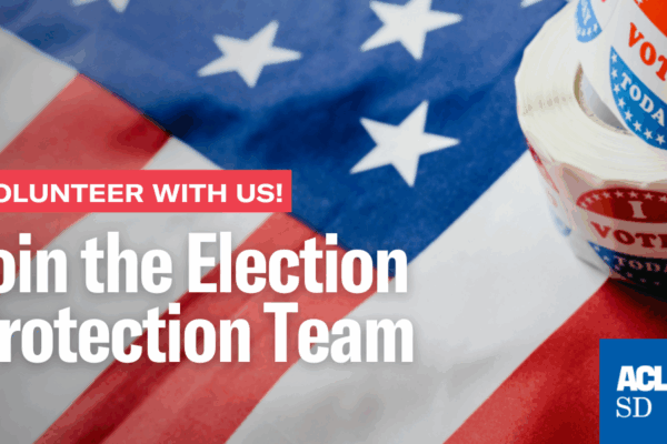 Join the Election Protection Team