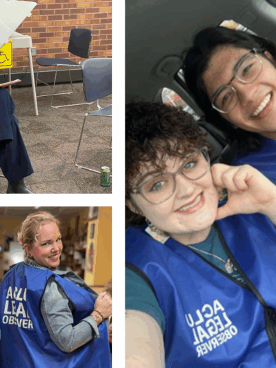 Election observers 2024