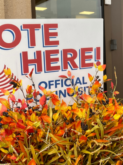 Image of a "Vote Here" Sign on orange and yellow plants