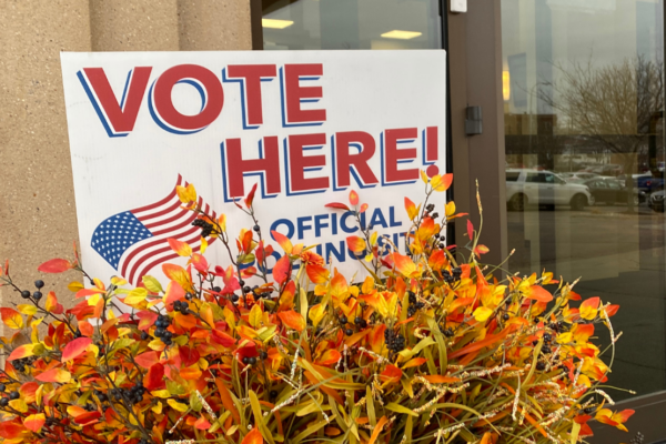Image of a "Vote Here" Sign on orange and yellow plants