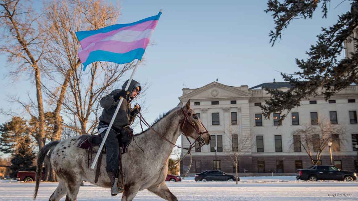 Image of a person riding a horse holding a Trans flag 