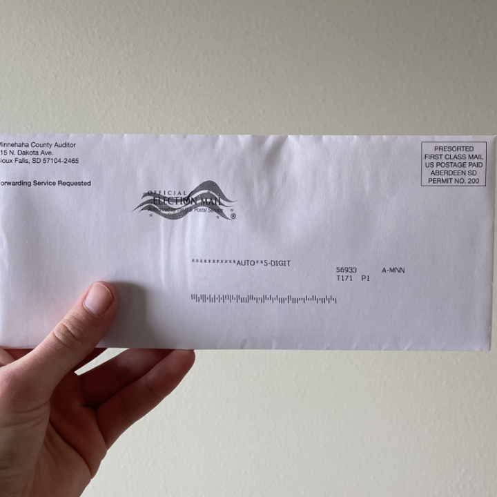 Absentee voting ballot in SD