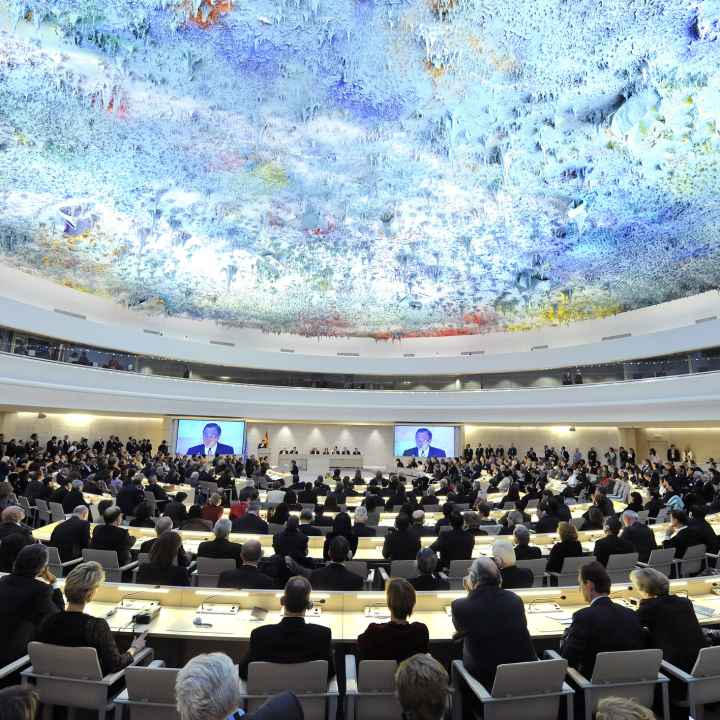 UN Human Rights Committee 