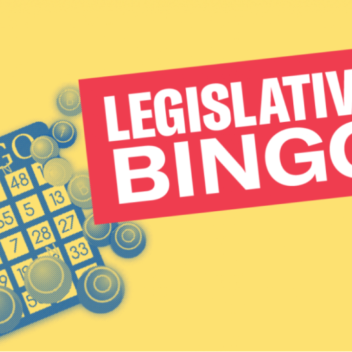 image of sdleg bingo