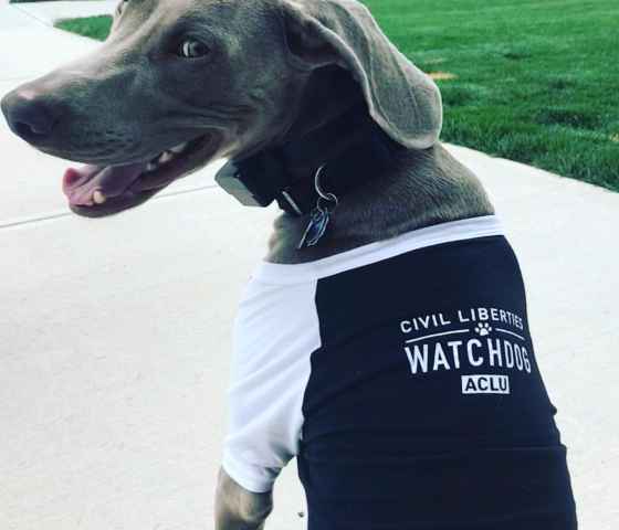 civil liberties watchdog 