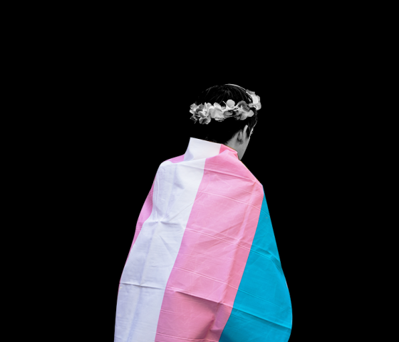 Person holding a trans flag